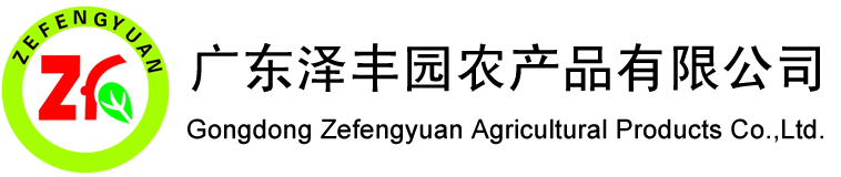 英中耐